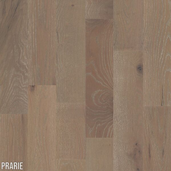Prairie (LWSBPRAR) - Carton (22.35 sq/ft)